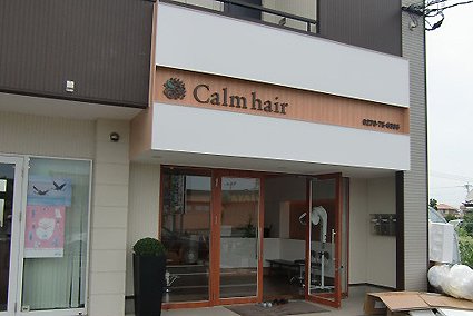 Calm hair